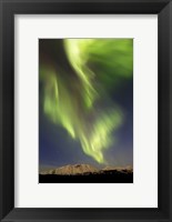 Aurora Borealis over Emerald Lake, Carcross, Yukon, Canada Fine Art Print