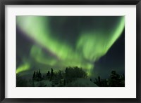 Aurora Borealis Takes Flight Fine Art Print