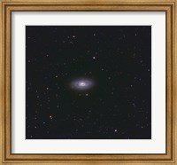 Black Eye Galaxy Fine Art Print