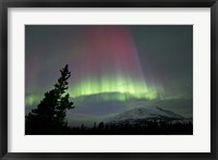 Red and Green Aurora Borealis over Carcross Desert Fine Art Print