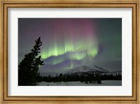 Red and Green Aurora Borealis over Carcross Desert, Canada Fine Art Print