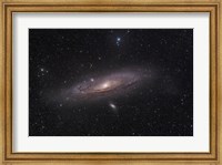 Andromeda Galaxy Fine Art Print