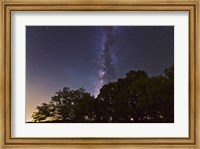 Milky Way Above LiveOoak and Mesquite Trees Fine Art Print