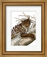 Thylacoleo, a Marsupial Lion from the Pleistocene Age Fine Art Print