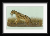 Thylacosmilus Atrox Fine Art Print