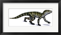 Protosuchus Fine Art Print