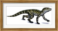 Protosuchus Fine Art Print