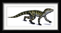 Protosuchus Fine Art Print
