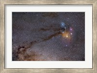 The Rho Ophiuchus Area in Sagittarius Fine Art Print