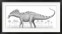 Amargasaurus Cazaui Dinosaur from the Early Cretaceous Period Fine Art Print