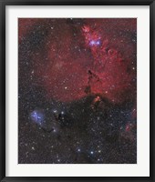 Nebula in Monoceros Fine Art Print