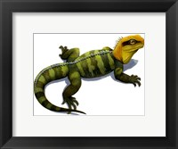 Clevosaurus Fine Art Print