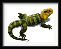 Clevosaurus Fine Art Print