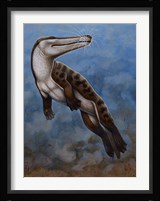 Ambulocetus Natans Fine Art Print