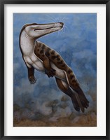 Ambulocetus Natans Fine Art Print