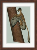 Microraptor Gui Fine Art Print