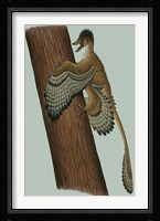 Microraptor Gui Fine Art Print