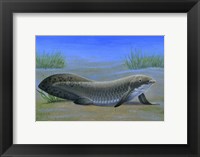 Ceratodus Fine Art Print