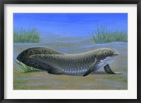 Ceratodus Fine Art Print