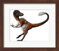 Dilong Paradoxus All Fluffed up and Feeling Sassy Fine Art Print