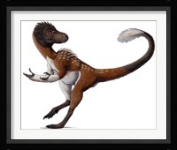 Dilong Paradoxus All Fluffed up and Feeling Sassy Fine Art Print