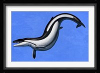 Basilosaurus Fine Art Print