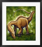 Apatosaurus Fine Art Print