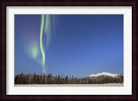 Aurora Borealis near Mayo, Yukon, Canada Fine Art Print