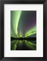 Aurora borealis over Fish lake, Whitehorse, Yukon, Canada (vertical) Fine Art Print