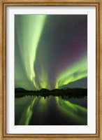 Aurora borealis over Fish lake, Whitehorse, Yukon, Canada (vertical) Fine Art Print