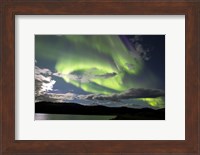 Aurora borealis over Fish Lake, Yukon, Canada Fine Art Print