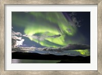 Aurora borealis over Fish Lake, Yukon, Canada Fine Art Print