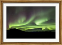 Aurora Borealis over Gray Peak, Whitehorse, Yukon Canada Fine Art Print