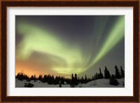 Aurora borealis over Ogilvie Mountains Fine Art Print