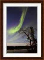 Aurora Borealis over the Yukon River, Whitehorse, Canada Fine Art Print