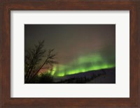 Aurora Borealis, Twin Lakes, Yukon, Canada Fine Art Print