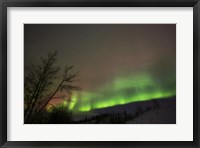 Aurora Borealis, Twin Lakes, Yukon, Canada Fine Art Print