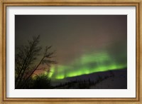 Aurora Borealis, Twin Lakes, Yukon, Canada Fine Art Print