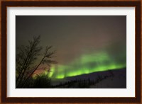 Aurora Borealis, Twin Lakes, Yukon, Canada Fine Art Print