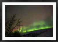 Aurora Borealis, Twin Lakes, Yukon, Canada Fine Art Print