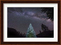 Pine Tree Glows Under the Arch of the Milky Way Fine Art Print