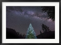 Pine Tree Glows Under the Arch of the Milky Way Fine Art Print