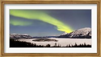 Aurora Borealis over Bove Island, Yukon, Canada Fine Art Print