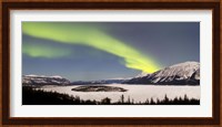 Aurora Borealis over Bove Island, Yukon, Canada Fine Art Print