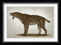 Homotherium Latidens Fine Art Print