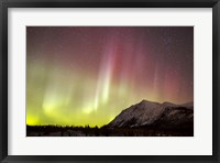 Red Aurora Borealis over Carcross Desert, Canada Fine Art Print