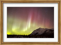 Red Aurora Borealis over Carcross Desert, Canada Fine Art Print