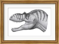 Headshot of an Albertosaurus Sarcophagus Fine Art Print