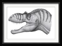 Headshot of an Albertosaurus Sarcophagus Fine Art Print