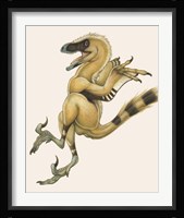 Bambiraptor Fine Art Print